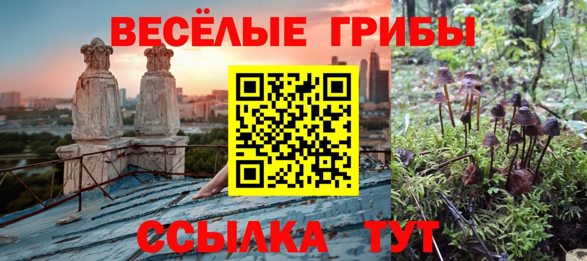 Галлюциногенные грибы мухоморы Нижний Новгород
